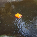 A floating strainer in the creek on Townline Road